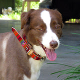 Mayan Designed Leather Dog Collars